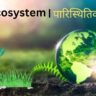 Ecosystem-in-hindi_